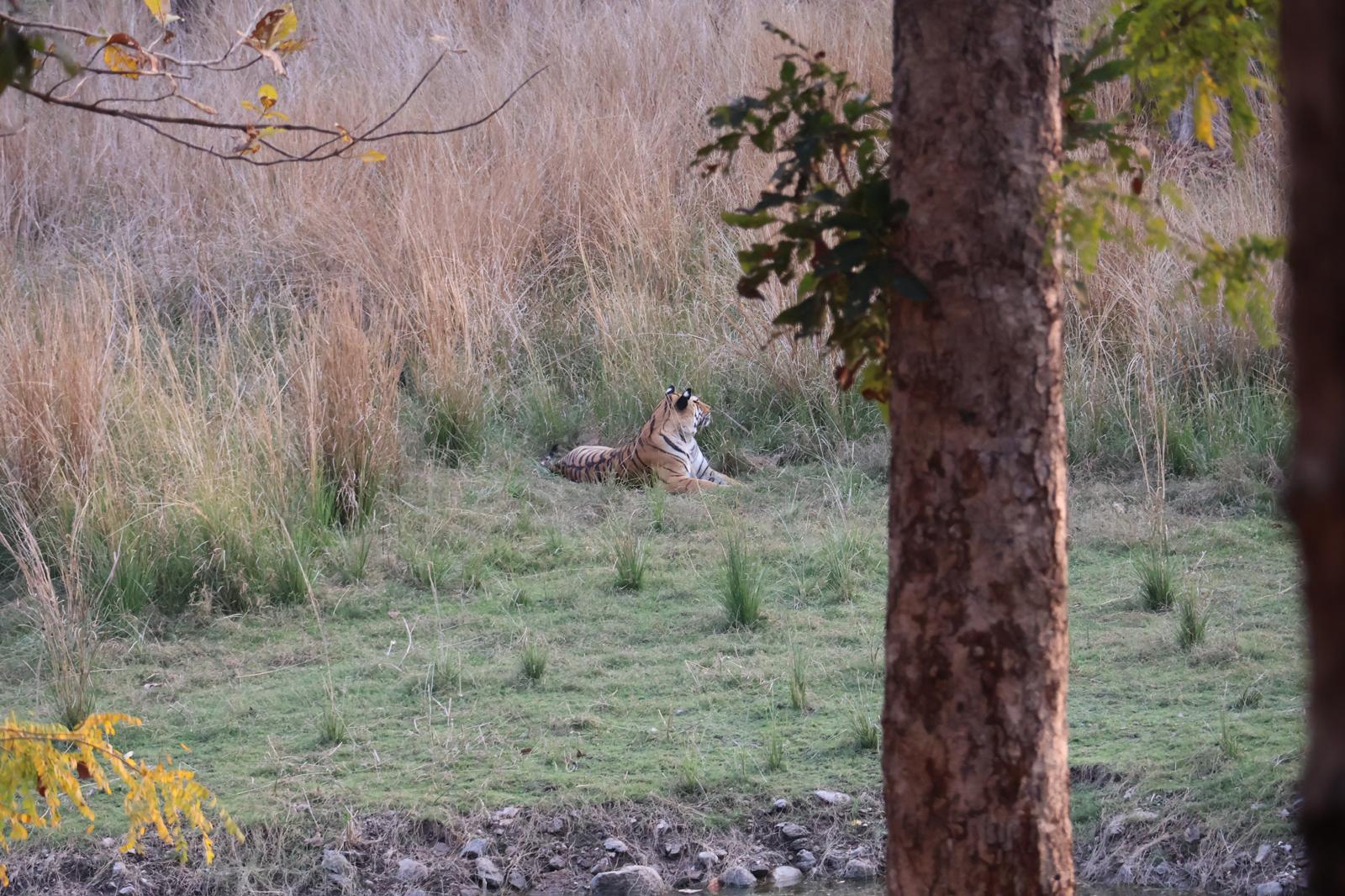 jungle lodge arrival