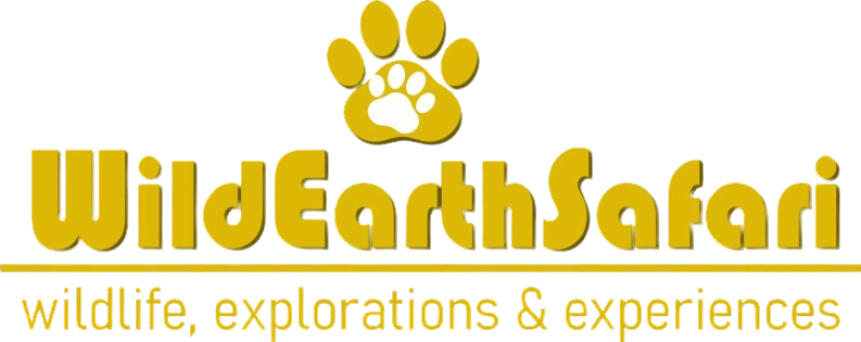 Indian Wildlife Safari