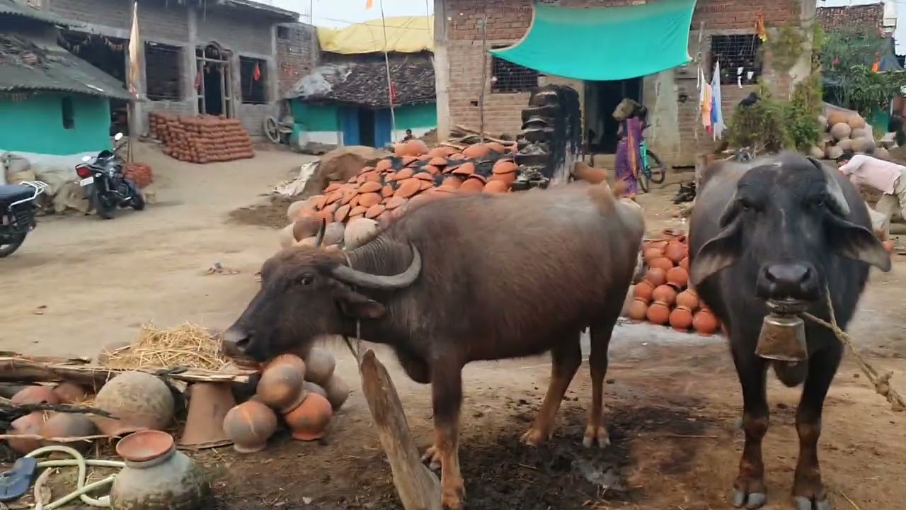 Traditional Pottery Village  