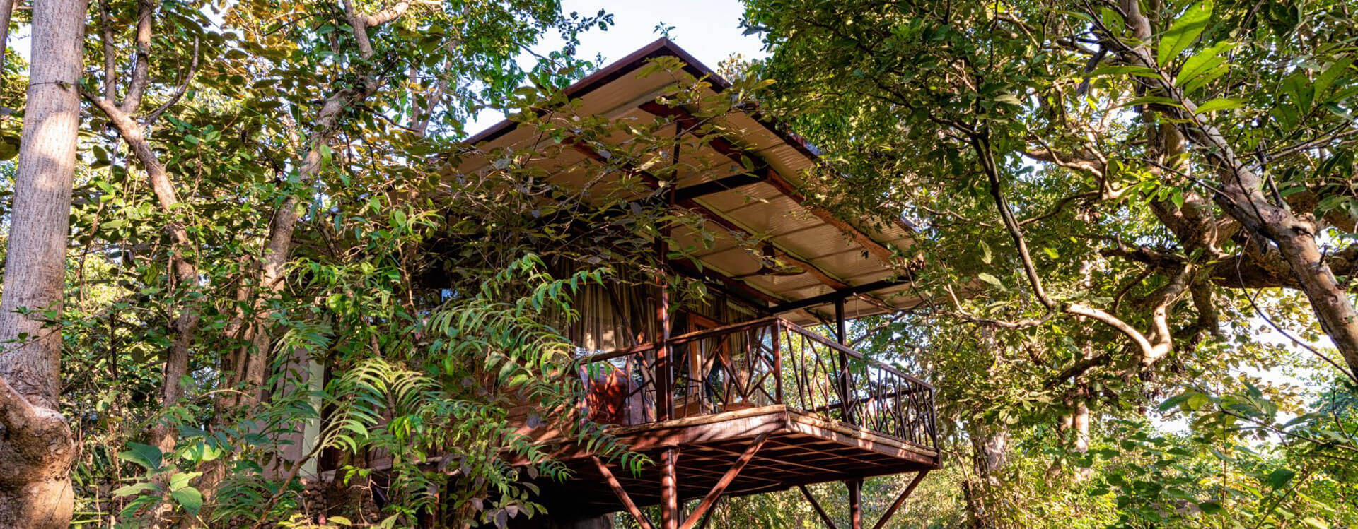 Kanha Jungle Camp