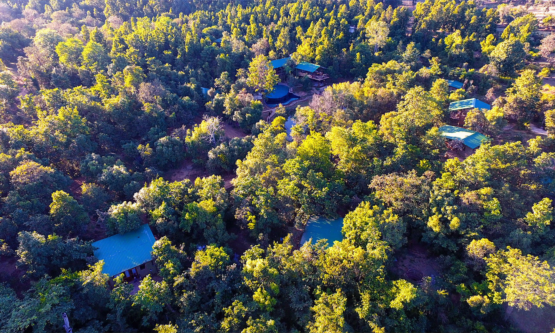 Kanha Jungle Camp-Kanha