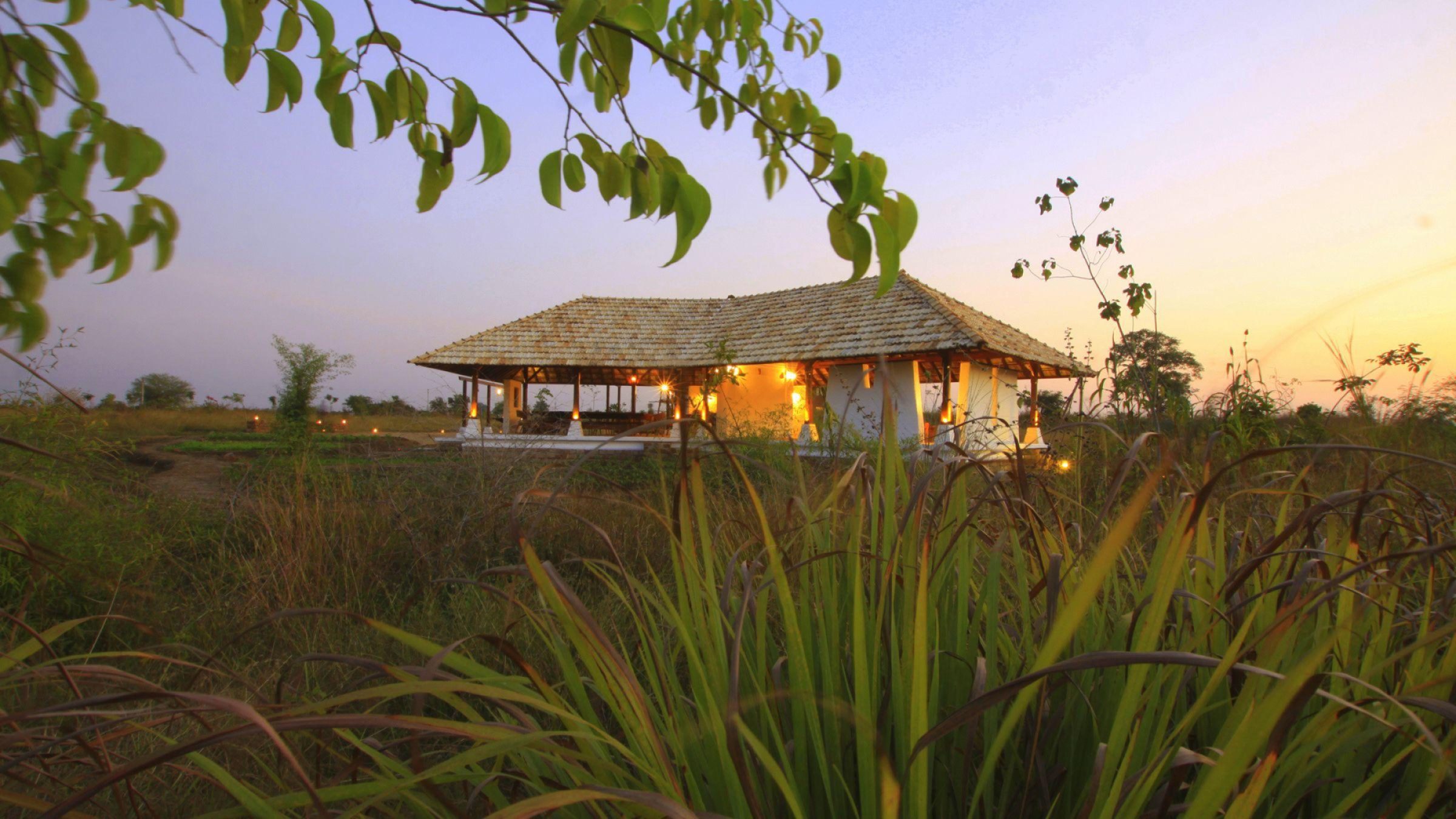 Svasara Jungle Lodge-Tadoba