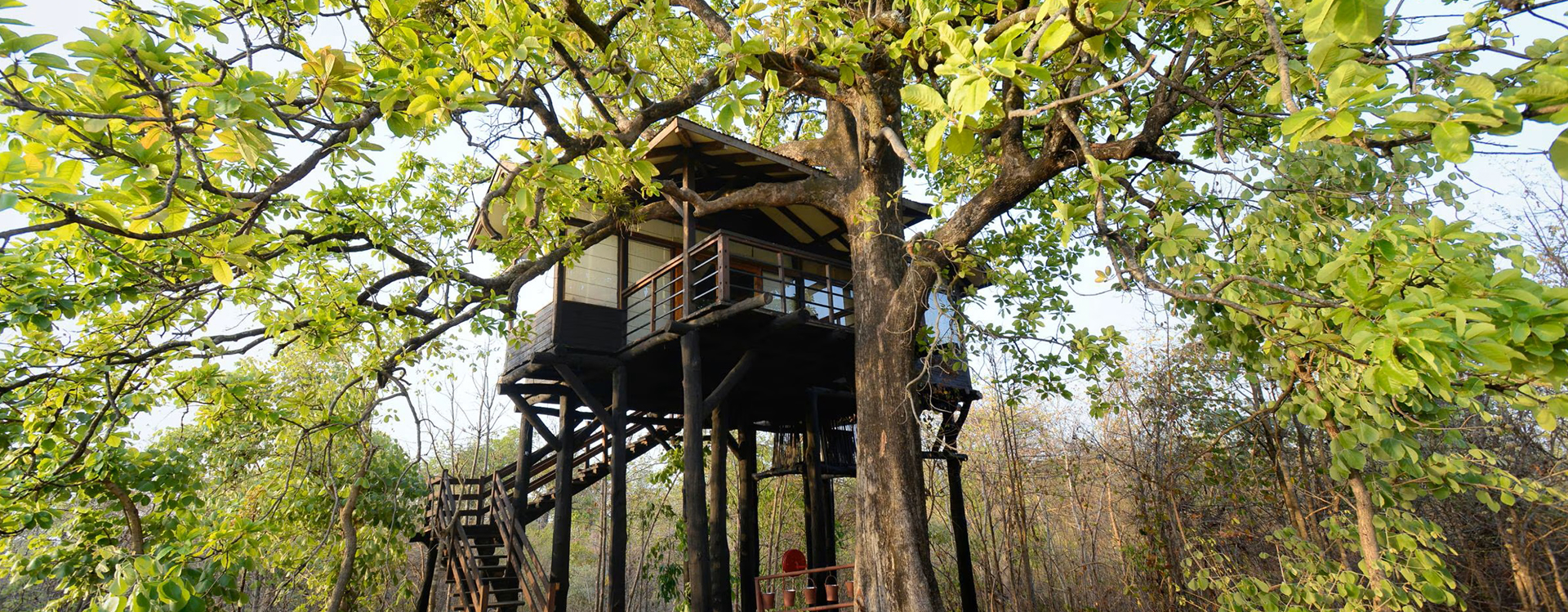 Pench Tree Lodge