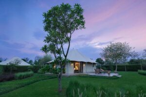 From Treehouses to Villas: Unique Jungle Stays in Bandhavgarh