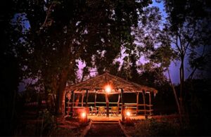 Into the Wild: Kanha’s Top Luxury Safari Stays