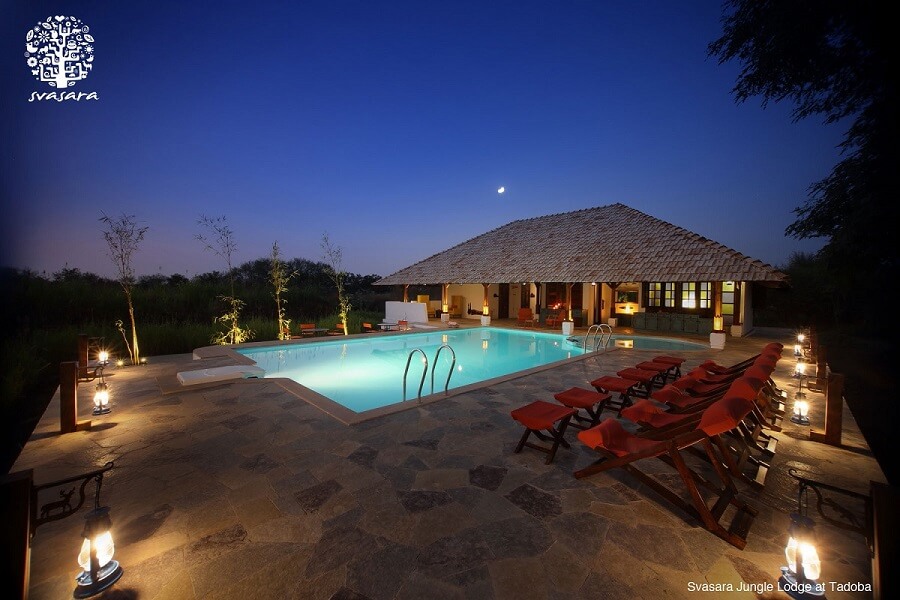 Top Luxurious Lodges in Tadoba: An Unforgettable Safari Stay