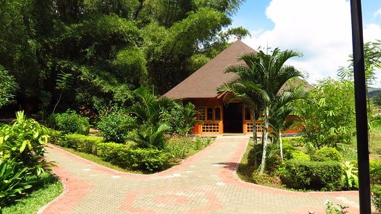 Explore Panna in Comfort: Curated Luxury Jungle Escapes