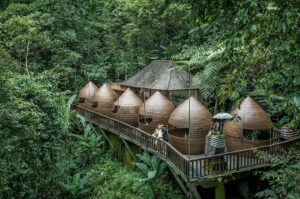 Into the Green: Satpura’s Best Jungle Lodges