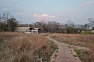 Stay Wild in Style: Pench’s Top Jungle Lodges