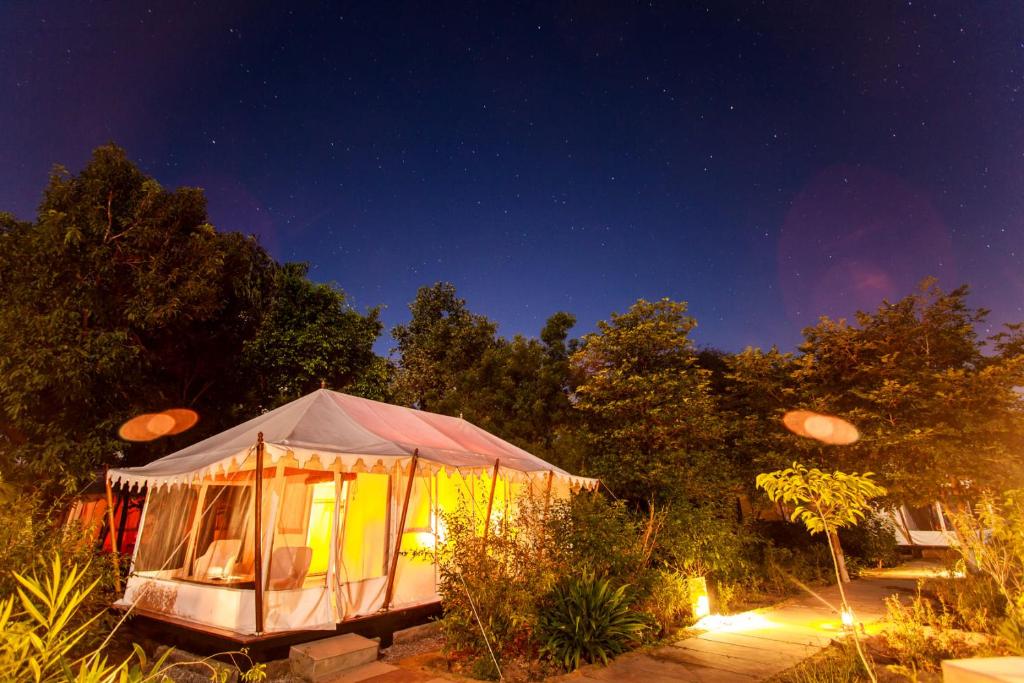 Khem Villas, Ranthambore – Track the Wild, Stay in Style