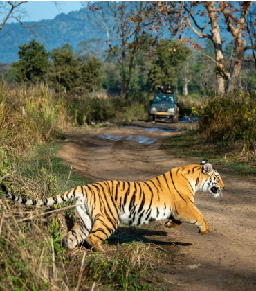 Pench National Park