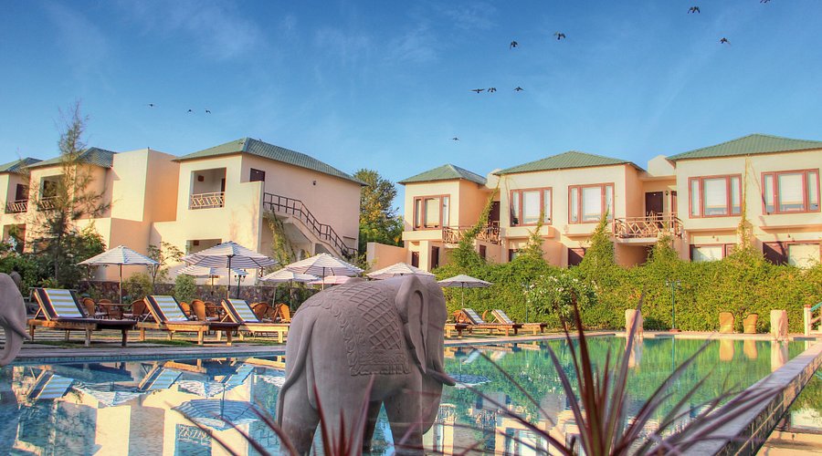 Royal Wilderness Awaits at Ranthambore Kothi