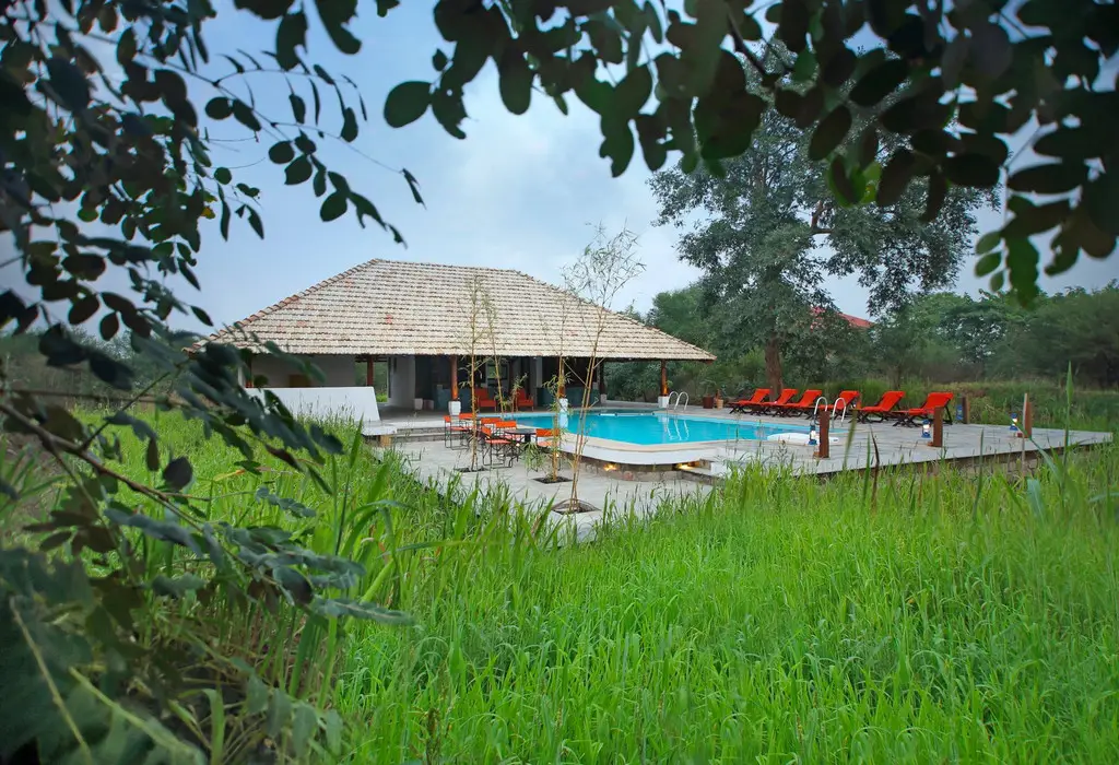 Svasara Jungle Lodge-Tadoba