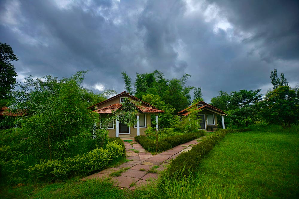 Chitvan Jungle Lodge-Chitwan